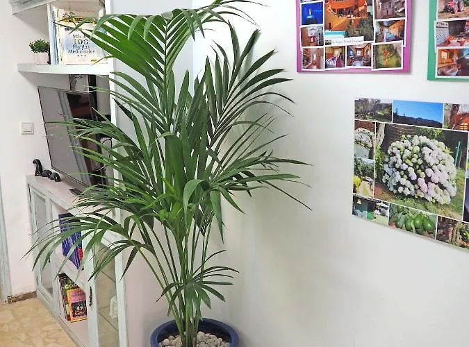 La Luz Лас-Пальмас-де-Гран-Канарія